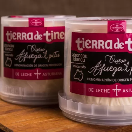 Asturias cheese, tradicional and famous 