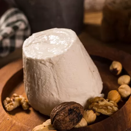 Asturias cheese, tradicional and famous 