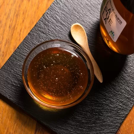 Asturian honey made from the flower of the eucalyptus
