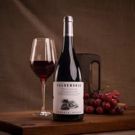 Cangas Valdemonje wine