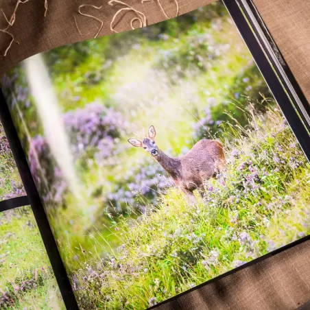 Guías de Asturias. Mi cabaña, mi mundo.