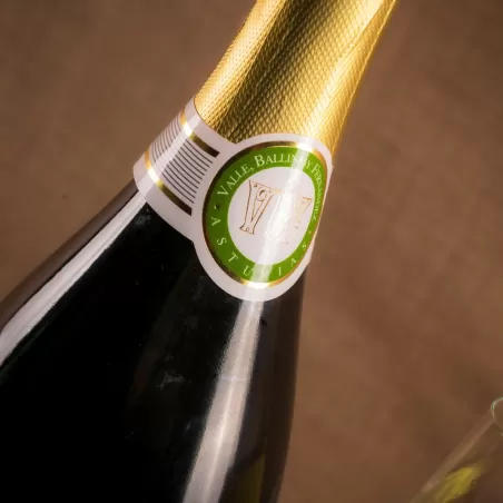 SIDRA VALLE BALLINA Y FERNÁNDEZ D.O.P. MAGNUM