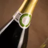 SIDRA VALLE BALLINA Y FERNÁNDEZ D.O.P. MAGNUM